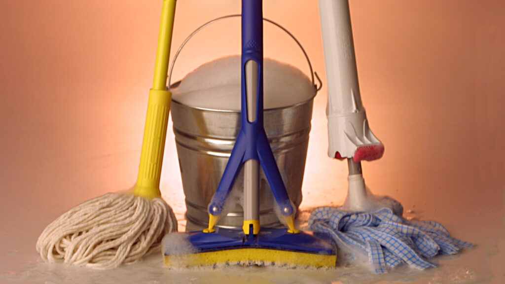 In-Home Detailed Cleaning Service For The Entire House