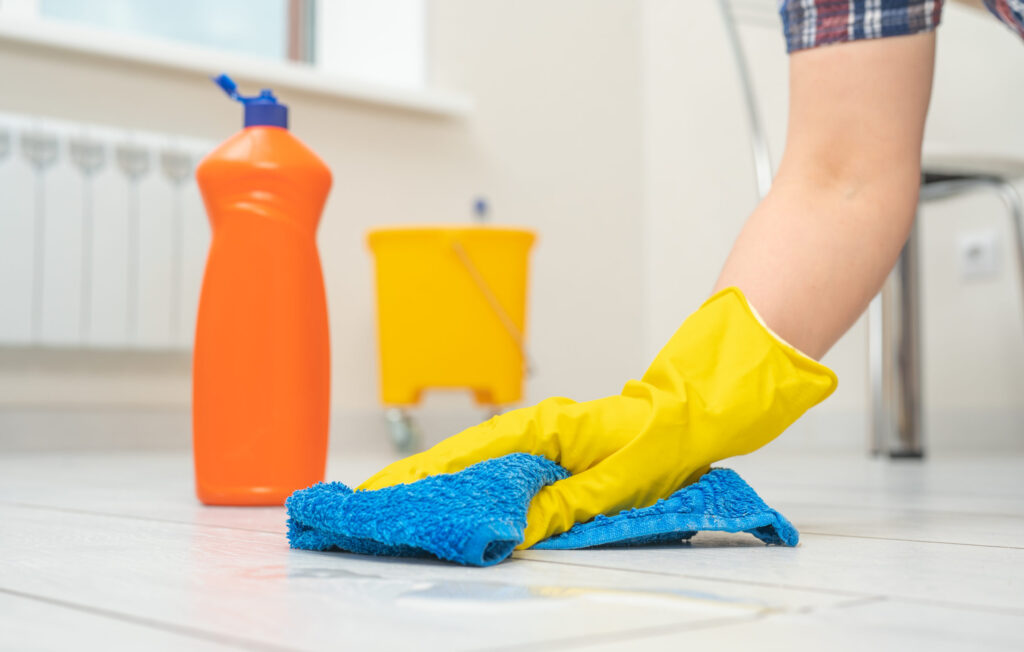 Detailed Whole-House Cleaning Service